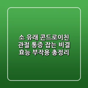 소 유래 콘드로이친 관절 통증 잡는 비결 효능 부작용 총정리