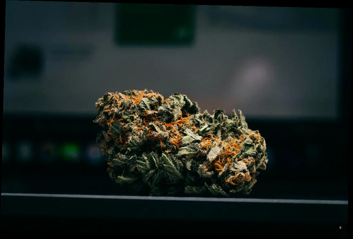 THC, 우리 몸에서 무슨 짓을 하는 걸까?