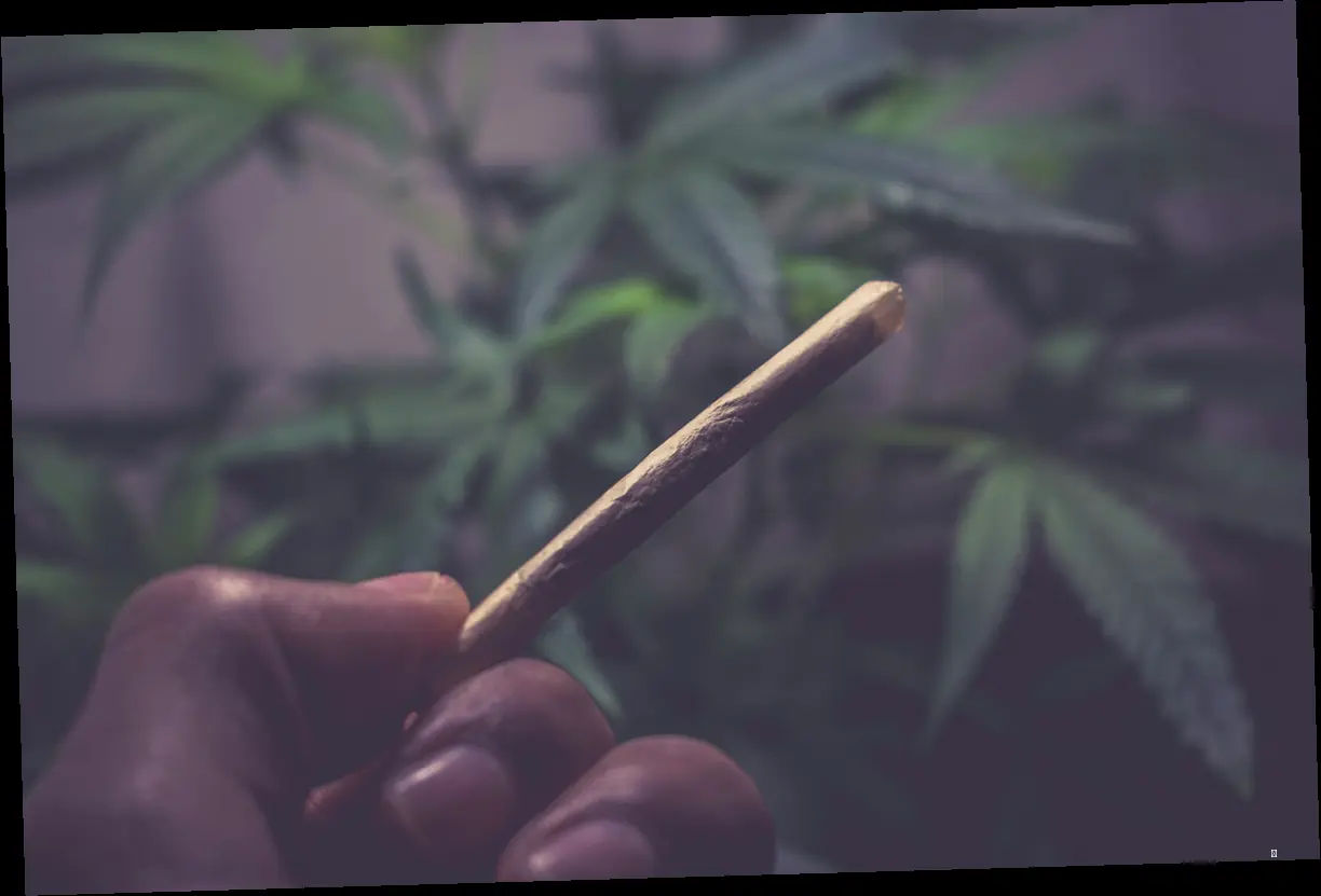 THC, 합법과 불법 사이 아슬아슬한 줄타기