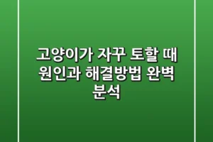 고양이가 자꾸 토할 때 원인과 해결방법 완벽 분석