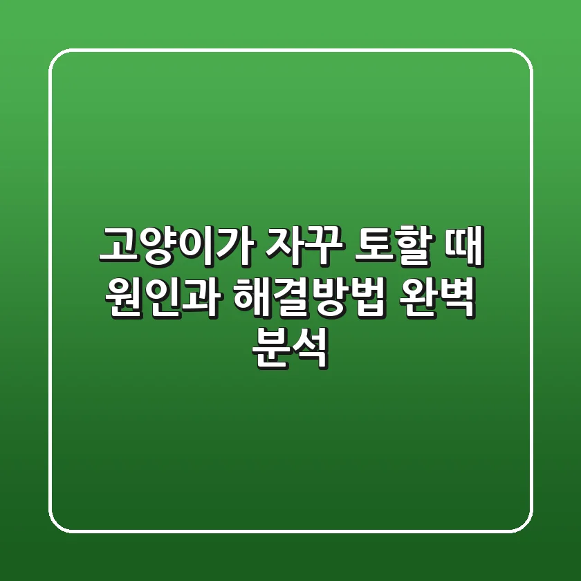 고양이가 자꾸 토할 때 원인과 해결방법 완벽 분석