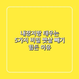내장지방 태우는 5가지 비밀 뱃살 빼기 힘든 이유
