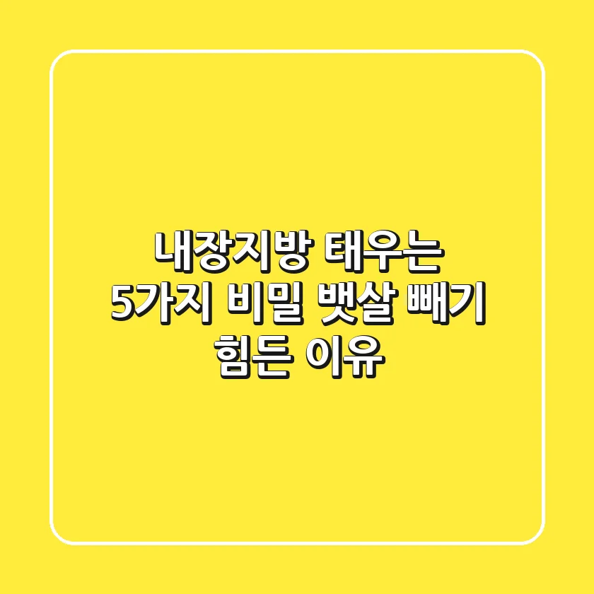 내장지방 태우는 5가지 비밀 뱃살 빼기 힘든 이유