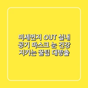 미세먼지 OUT 실내 공기 마스크 눈 건강 지키는 꿀팁 대방출