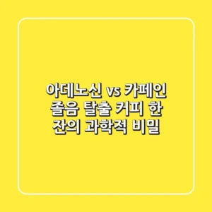 아데노신 vs 카페인 졸음 탈출 커피 한 잔의 과학적 비밀