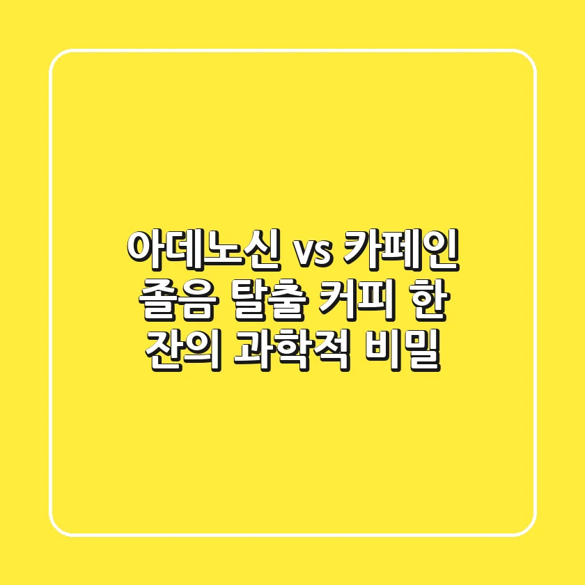 아데노신 vs 카페인 졸음 탈출 커피 한 잔의 과학적 비밀