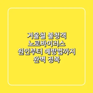 겨울철 불청객 노로바이러스 원인부터 예방법까지 완벽 정복