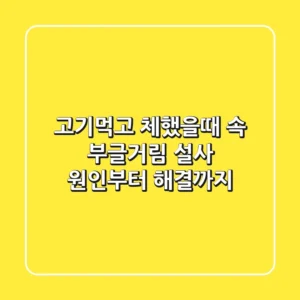 고기먹고 체했을때 속 부글거림 설사 원인부터 해결까지