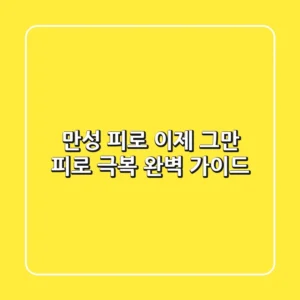 만성 피로, 이제 그만! 피로 극복 완벽 가이드