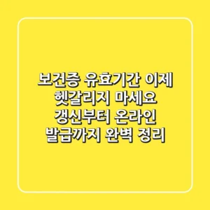 보건증 유효기간, 이제 헷갈리지 마세요! 갱신부터 온라인 발급까지 완벽 정리