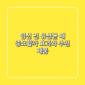 임신 전 유산균, 왜 중요할까? 효과와 추천 제품