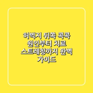 허벅지 뒤쪽 콕콕! 원인부터 치료, 스트레칭까지 완벽 가이드