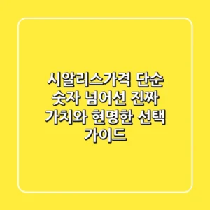 시알리스가격, 단순 숫자 넘어선 진짜 가치와 현명한 선택 가이드