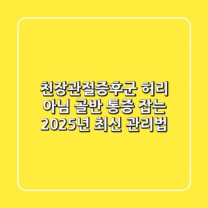 천장관절증후군, 허리 아님! 골반 통증 잡는 2025년 최신 관리법