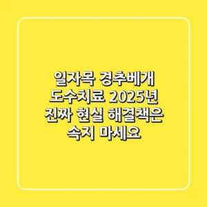 일자목, 경추베개, 도수치료? 2025년 '진짜' 현실 해결책은 (속지 마세요)