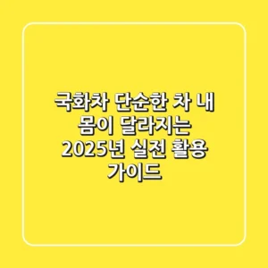 국화차, 단순한 차? 내 몸이 달라지는 2025년 실전 활용 가이드
