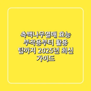 측백나무열매 효능, 부작용부터 활용 팁까지: 2025년 최신 가이드