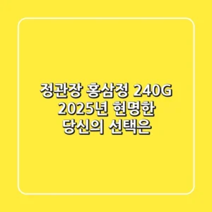 정관장 홍삼정 240G, 2025년 현명한 당신의 선택은?