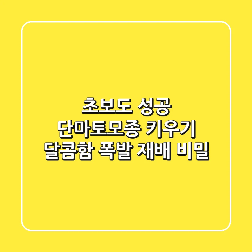 초보도 성공! 단마토모종 키우기: 달콤함 폭발 재배 비밀