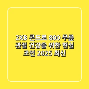 2XB 콘드로 800, 무릎 관절 건강을 위한 현실 조언 (2025 최신)