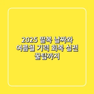 2025 말복 날짜와 여름철 기력 회복, 실전 꿀팁까지!