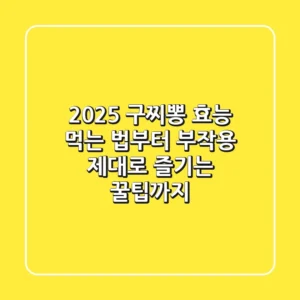2025 구찌뽕 효능: 먹는 법부터 부작용, 제대로 즐기는 꿀팁까지