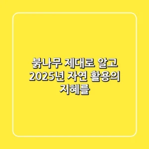 붉나무, 제대로 알고 2025년 자연 활용의 지혜를!