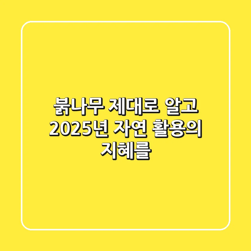 붉나무, 제대로 알고 2025년 자연 활용의 지혜를!
