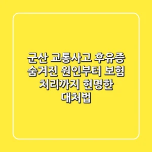 군산 교통사고 후유증, 숨겨진 원인부터 보험 처리까지 현명한 대처법