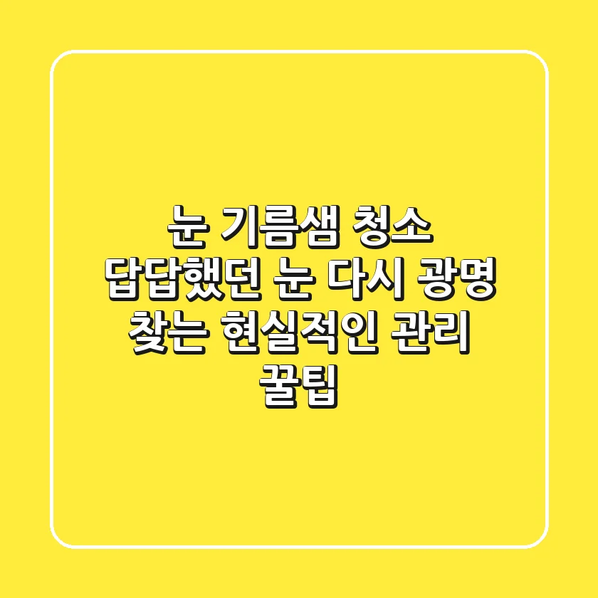 눈 기름샘 청소: 답답했던 눈, 다시 광명 찾는 현실적인 관리 꿀팁