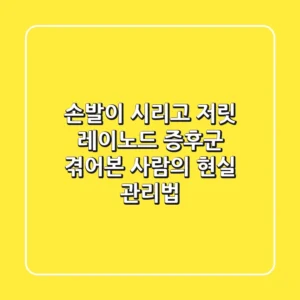 손발이 시리고 저릿? 레이노드 증후군, 겪어본 사람의 현실 관리법