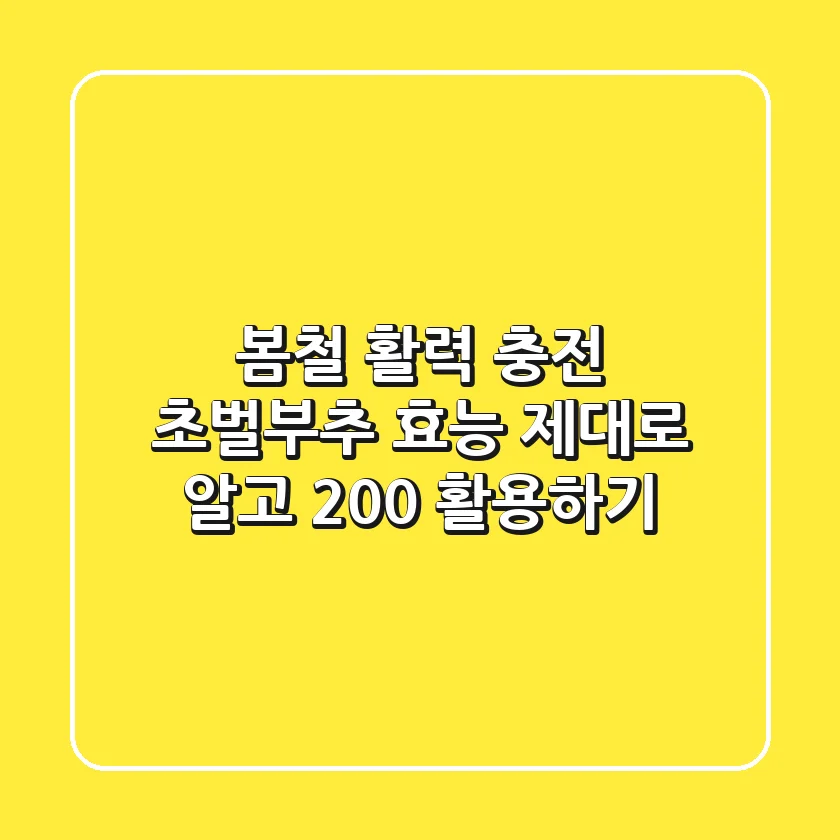 봄철 활력 충전! 초벌부추 효능, 제대로 알고 200% 활용하기