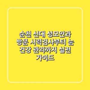 순천 신대 성모안과 방문: 시력검사부터 눈 건강 관리까지 실전 가이드