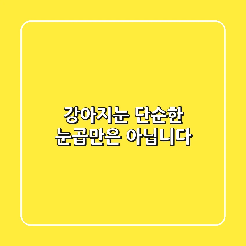 강아지눈, 단순한 눈곱만은 아닙니다!