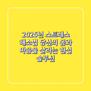 2025년 스트레스 해소법, 당신의 몸과 마음을 살리는 현실 솔루션