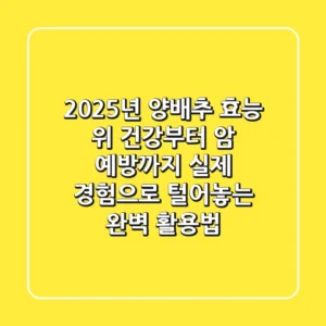2025년 양배추 효능: 위 건강부터 암 예방까지, 실제 경험으로 털어놓는 완벽 활용법