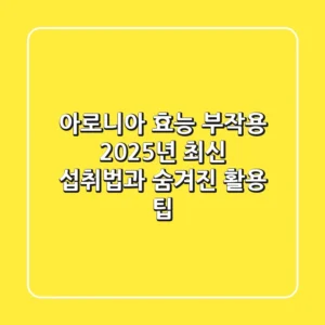 아로니아 효능 부작용, 2025년 최신 섭취법과 숨겨진 활용 팁