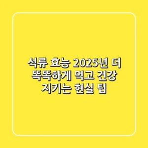 석류 효능: 2025년, 더 똑똑하게 먹고 건강 지키는 현실 팁