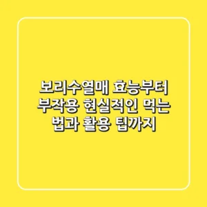 보리수열매 효능부터 부작용, 현실적인 먹는 법과 활용 팁까지