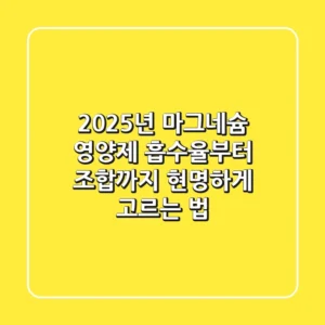 2025년 마그네슘 영양제, 흡수율부터 조합까지 현명하게 고르는 법