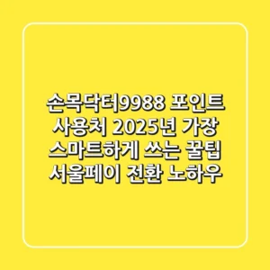 손목닥터9988 포인트 사용처, 2025년 가장 스마트하게 쓰는 꿀팁! (서울페이 전환 노하우)