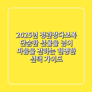 2025년 정관장다보록, 단순한 선물을 넘어 마음을 전하는 현명한 선택 가이드