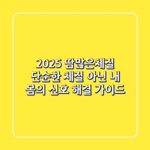 2025 땀많은체질, 단순한 체질 아닌 '내 몸의 신호' 해결 가이드