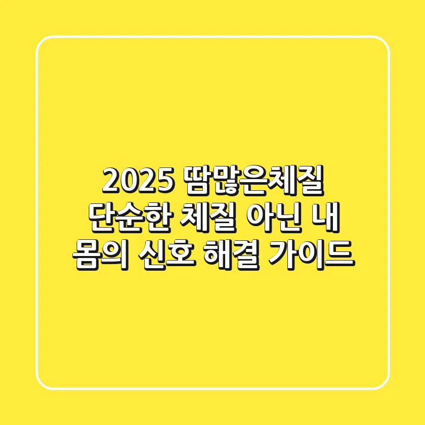 2025 땀많은체질, 단순한 체질 아닌 '내 몸의 신호' 해결 가이드