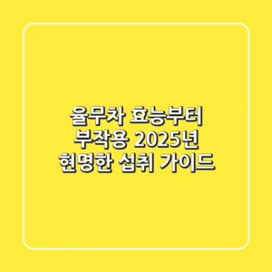 율무차 효능부터 부작용, 2025년 현명한 섭취 가이드