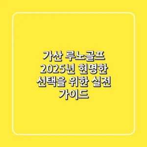 가산 루노골프, 2025년 현명한 선택을 위한 실전 가이드