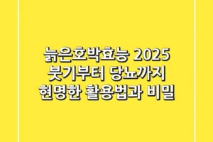 늙은호박효능 2025, 붓기부터 당뇨까지 현명한 활용법과 비밀