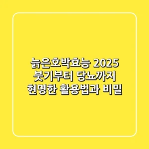 늙은호박효능 2025, 붓기부터 당뇨까지 현명한 활용법과 비밀