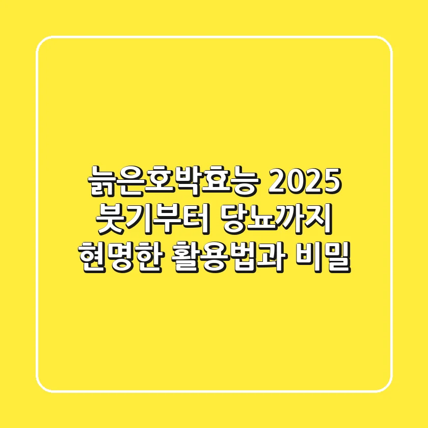 늙은호박효능 2025, 붓기부터 당뇨까지 현명한 활용법과 비밀