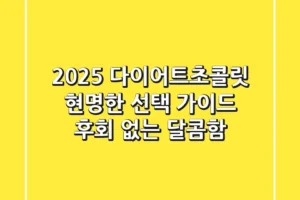 2025 다이어트초콜릿, 현명한 선택 가이드: 후회 없는 달콤함